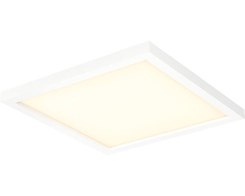 Philips Hue Paneel White Ambiance 19W 1820 lm 30x30 cm wit + dimmer - Compatibel met SMART HOME van Hornbach