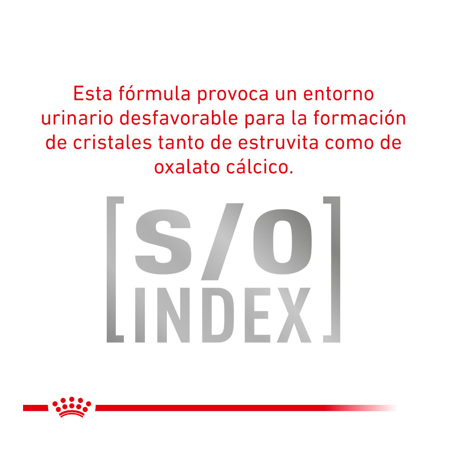 Sachê de Mousse Urinária Veterinária para Gatos Adultos Royal Canin
