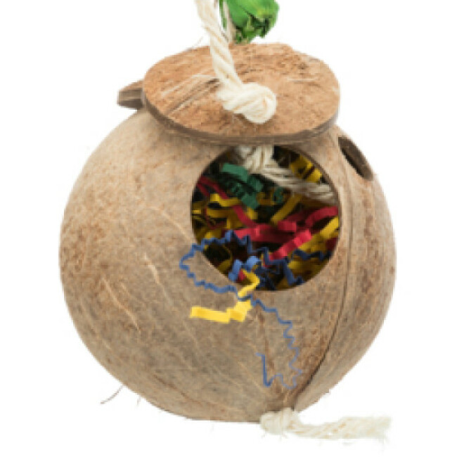 Suspension noix de coco sur corde en sisal pour oiseaux