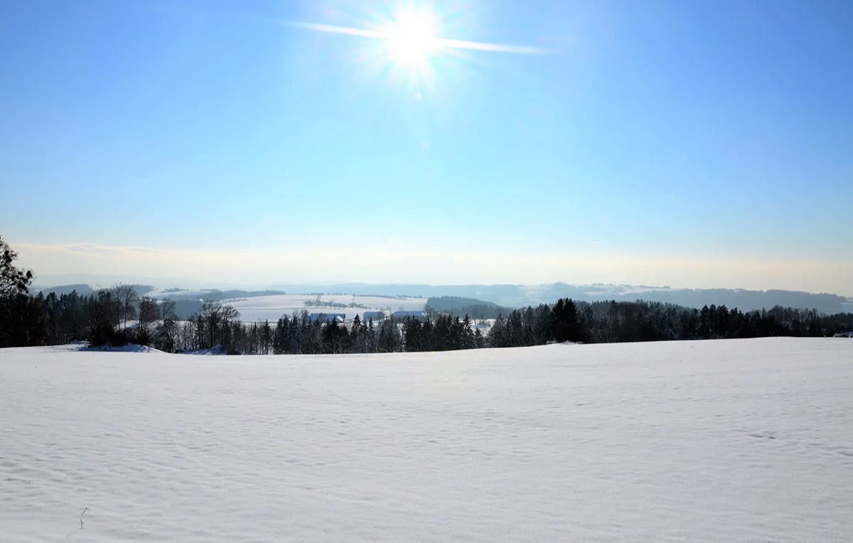 Alpaka Wanderung Sankt Thomas am Blasenstein