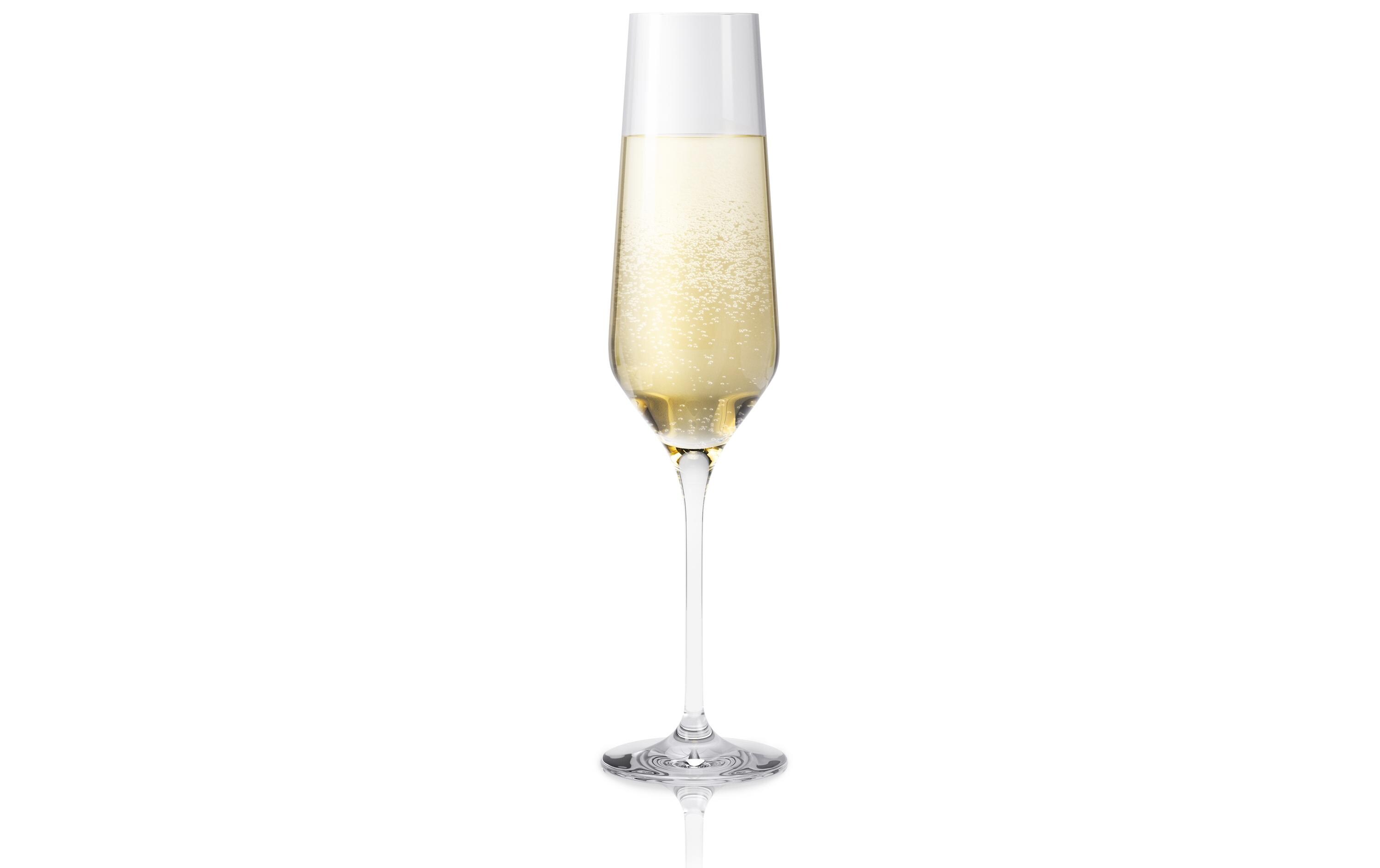 Champagnerglas Legio Nova 260 ml, 6 Stück, TransparentChampagnergläser Set
