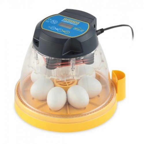 Incubadora avançada para pintinhos Brinsea mini II