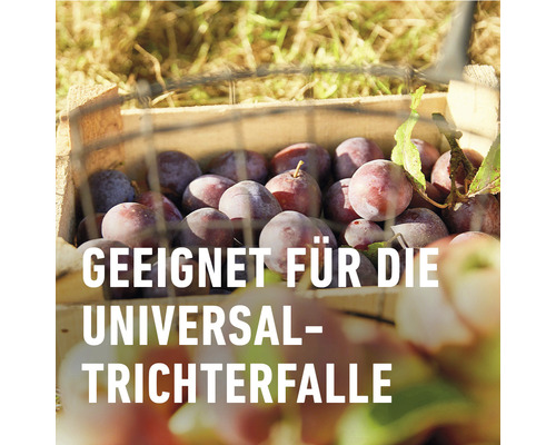 COMPO BIO Pruimenmottenlokstof, geschikt voor de COMPO Universele Trechterval, 3 stuks. Insecticidevrij.