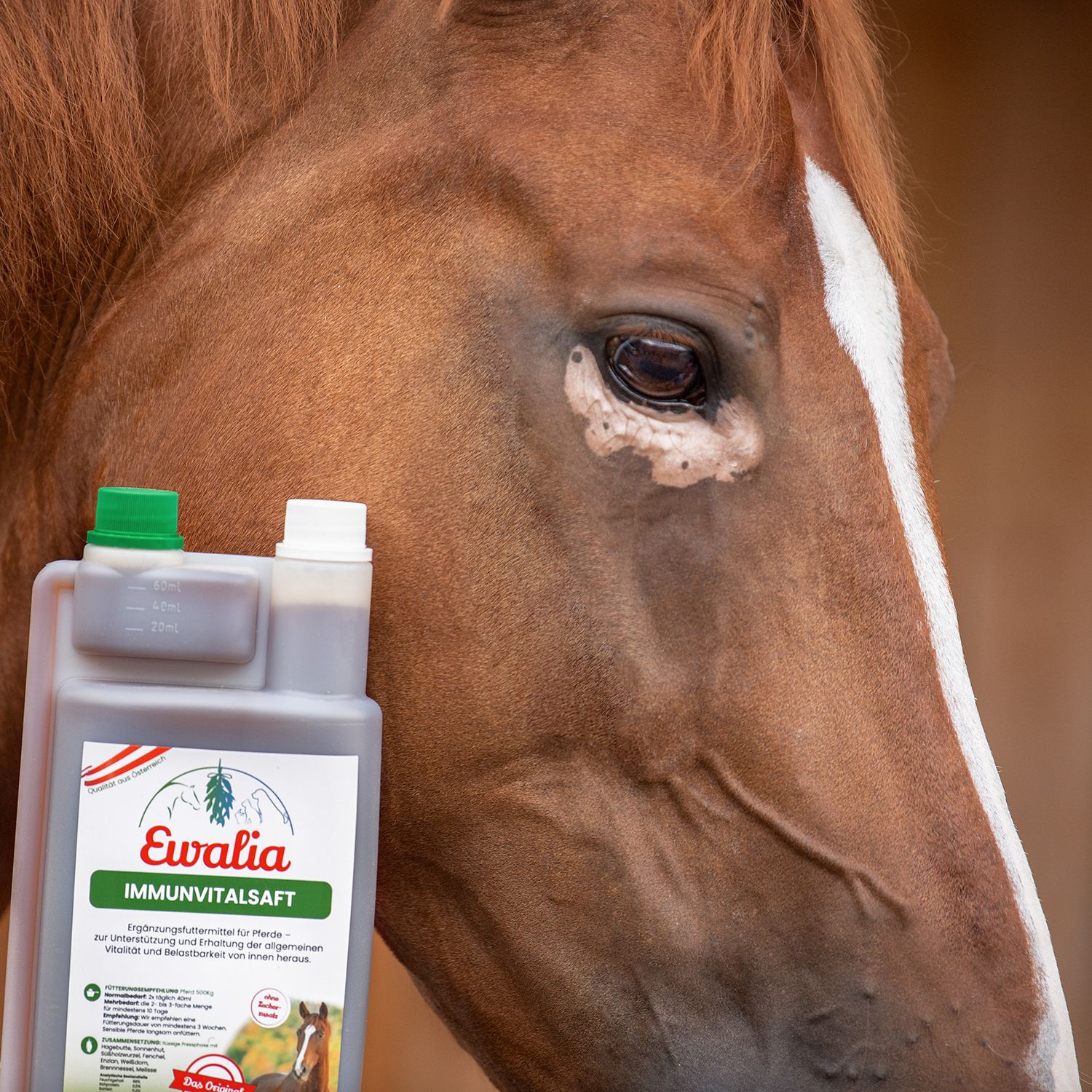 Ewalia Immunvitalsaft für Pferde