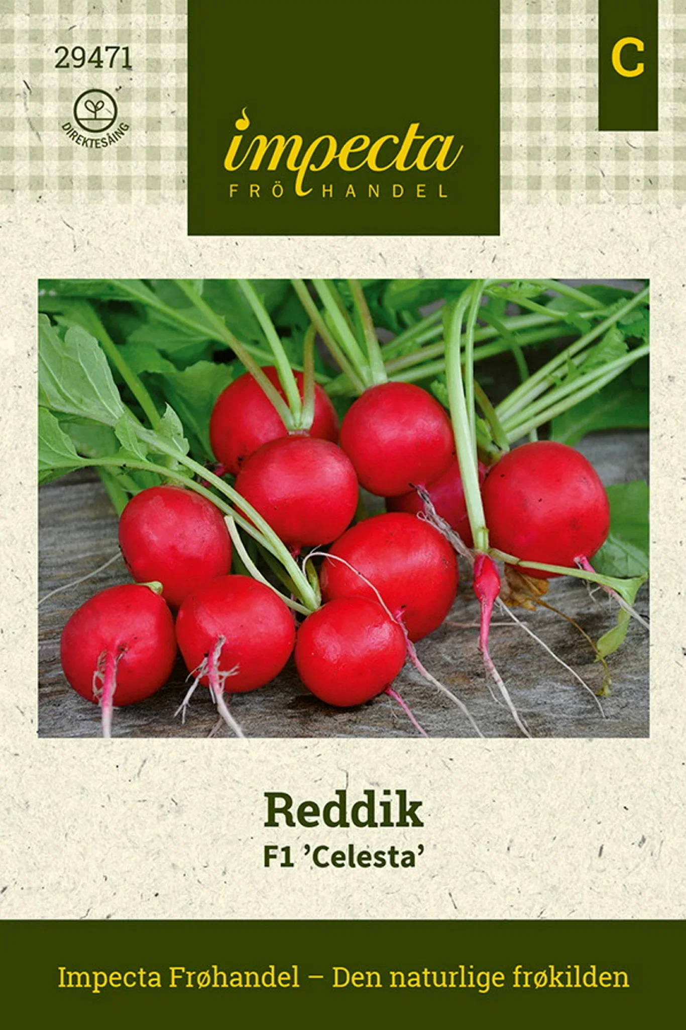 Raphanus sativus F1 'Celesta' Reddik F1 'Celesta'