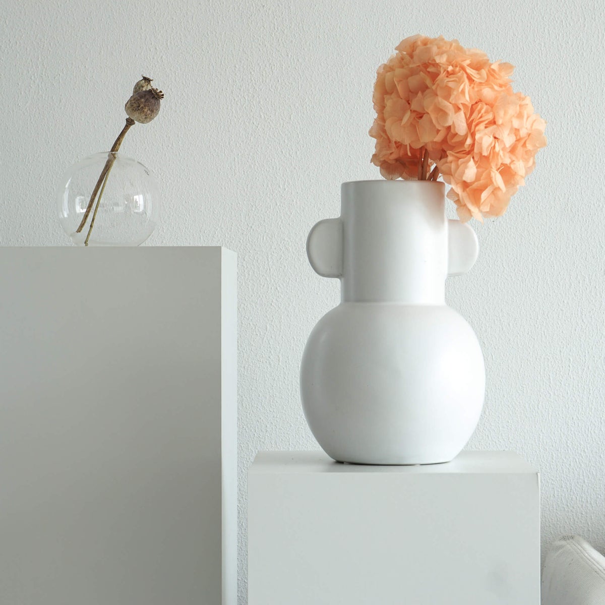 Hortensia: Tijdloze schoonheid, geconserveerde hortensia's als perfecte decoratie