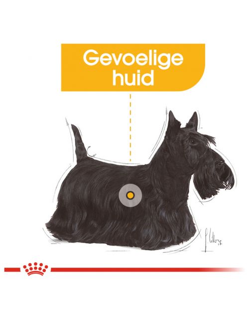 Royal Canin Dermacomfort Mini - Hondenvoer