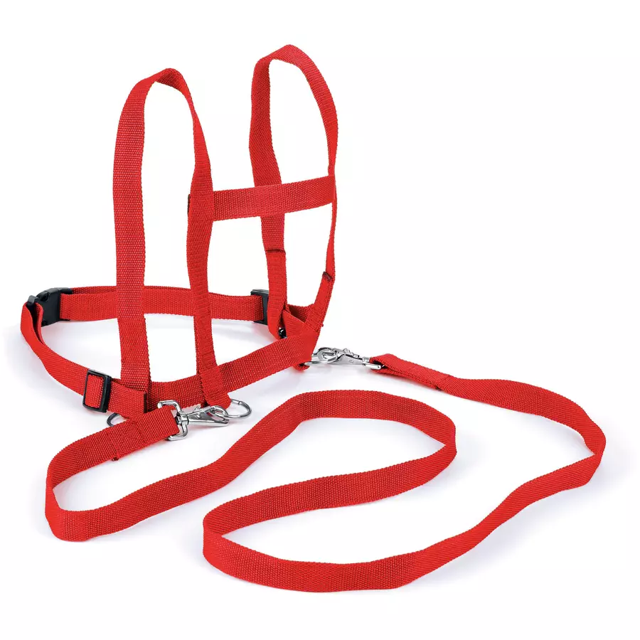 BLS Laufleine Nylon - rot