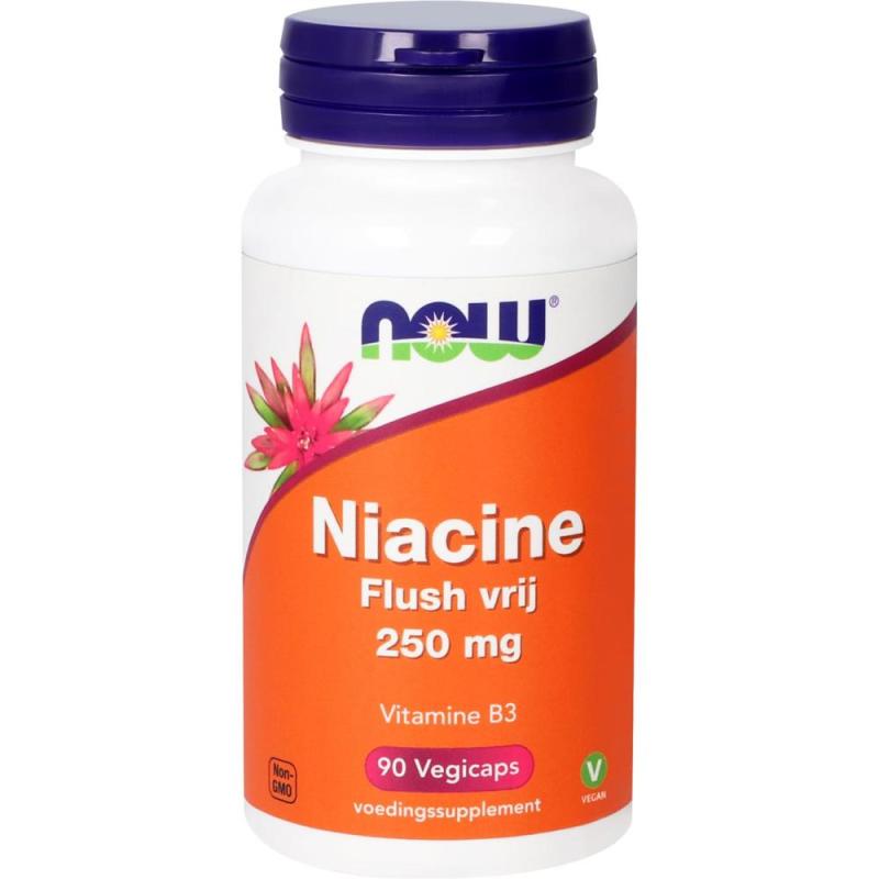 Now Niacine Flush Vrij 250mg 90 capsules