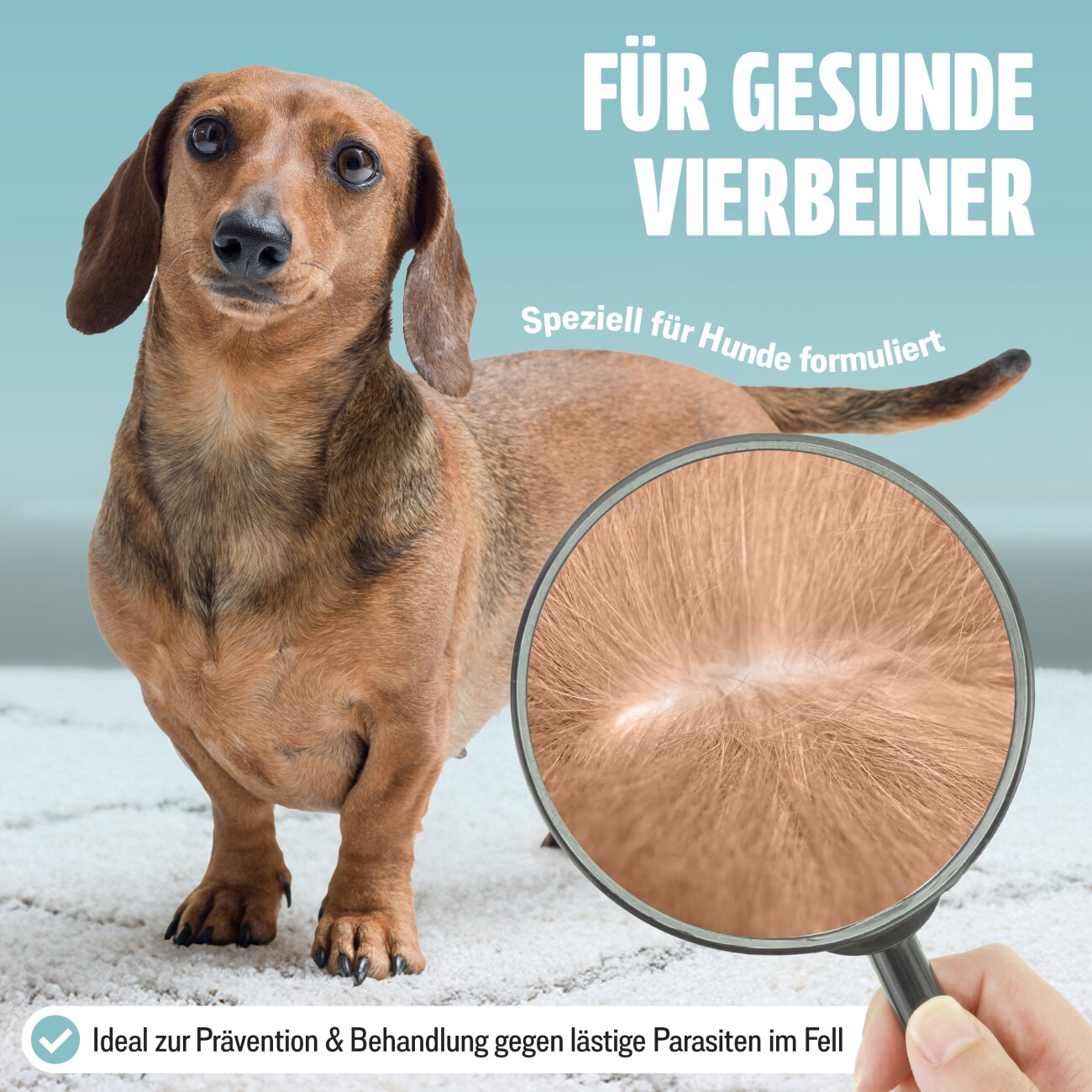 Futum Spot On (6x1,2ml) für Hunde 7 ml