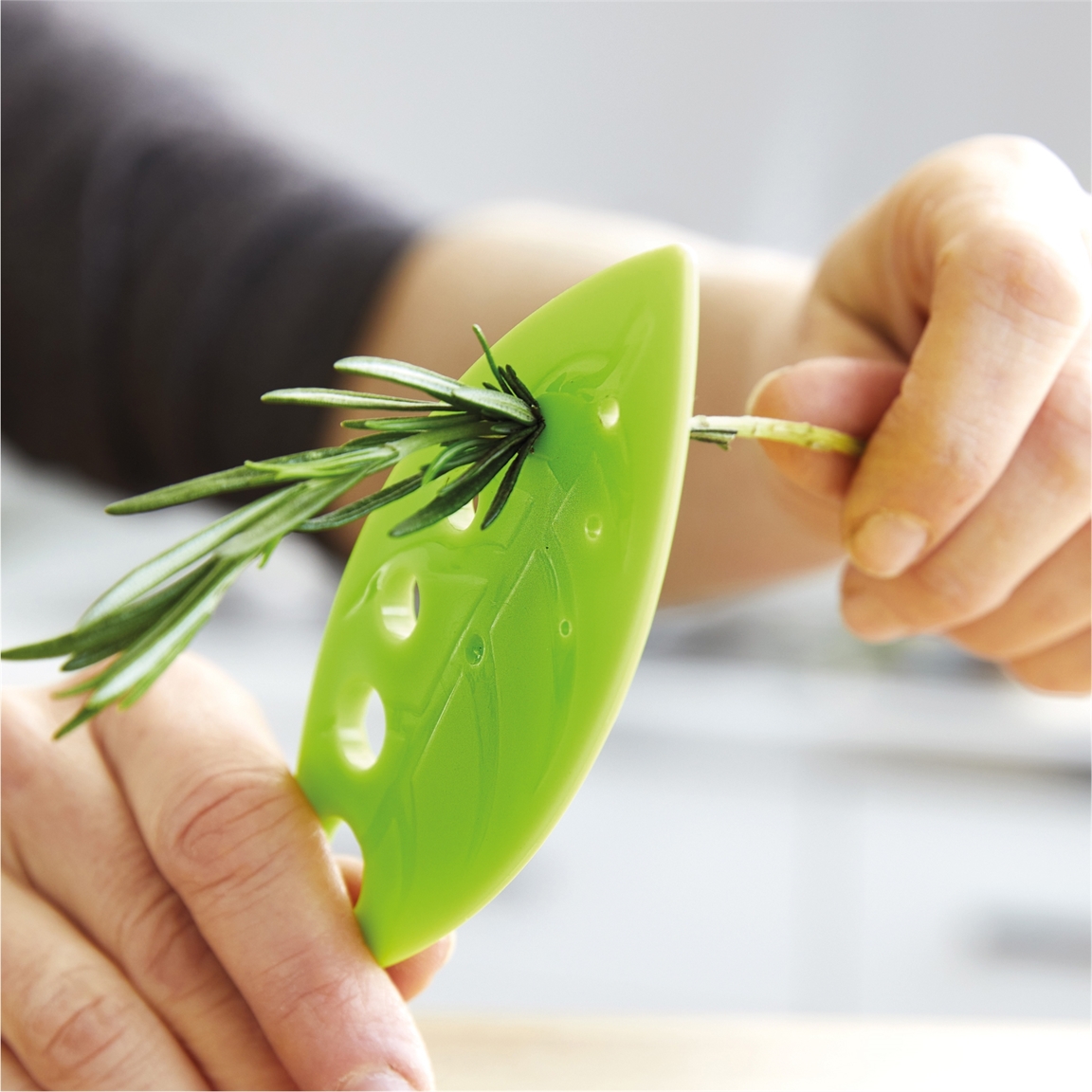 Boîte conservation fines herbes