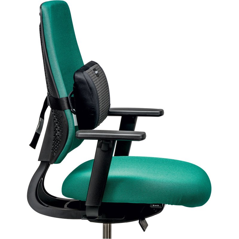 Support dorsal Plush Touch - Fellowes