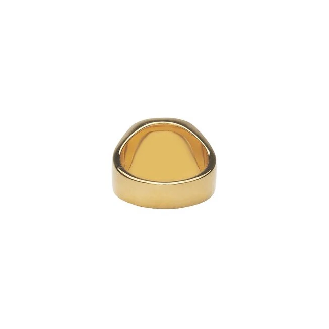 IX STUDIOS  IX Cushion Signet Tiger Eye ring - forgyldt