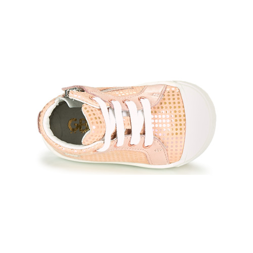 GBB - LEOZIA - Rose