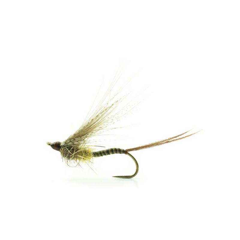 Mouche Devaux Emergente Mai03
