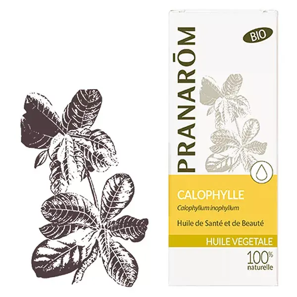 Óleo Vegetal Orgânico de Calophyllum Pranarom 50ml