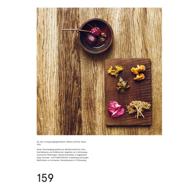Das Noma-Handbuch Fermentation