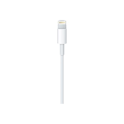 Apple câble Lightning - Lightning / USB - 1 m