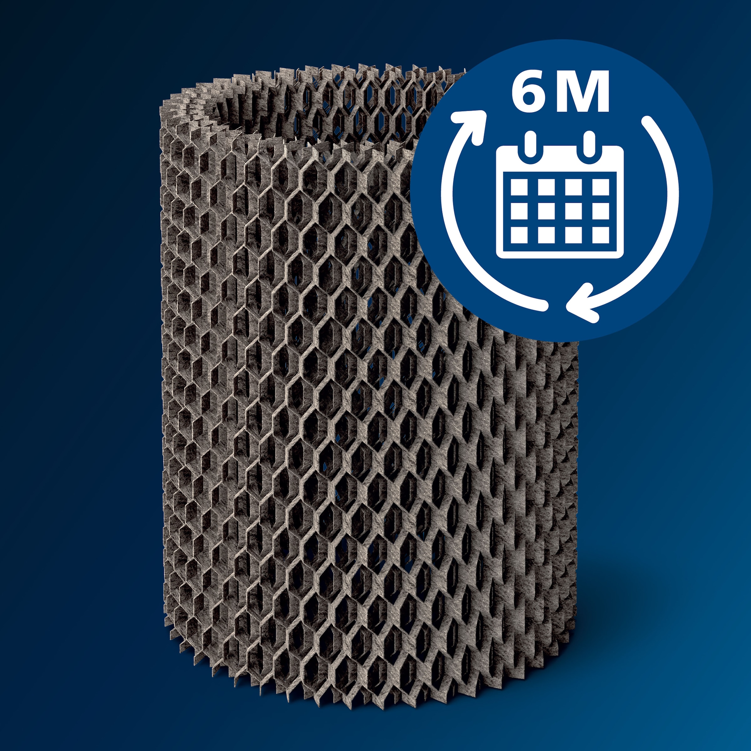 Philips Befeuchtungselement »FY1190/30« 1 Stk. tlg.