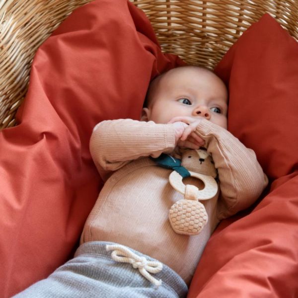 Sebra Milo The Bear Activiteitenrammelaar