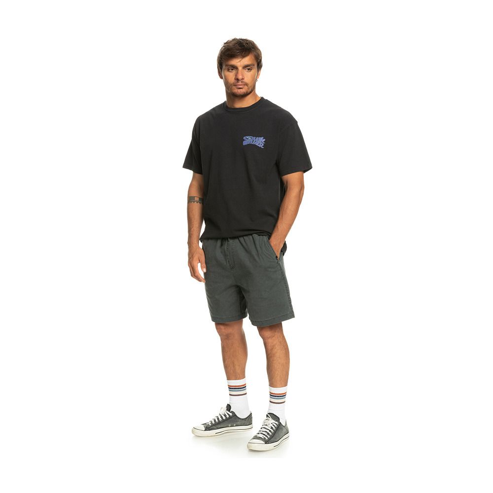 Quiksilver TAXER - Short Homme black