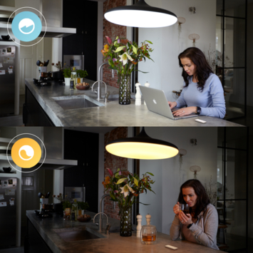 Philips Hue dimmer switch draadloze schakelaar