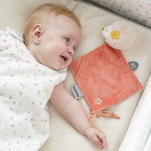 Mini doudou hérisson Zoë rose - NATTOU