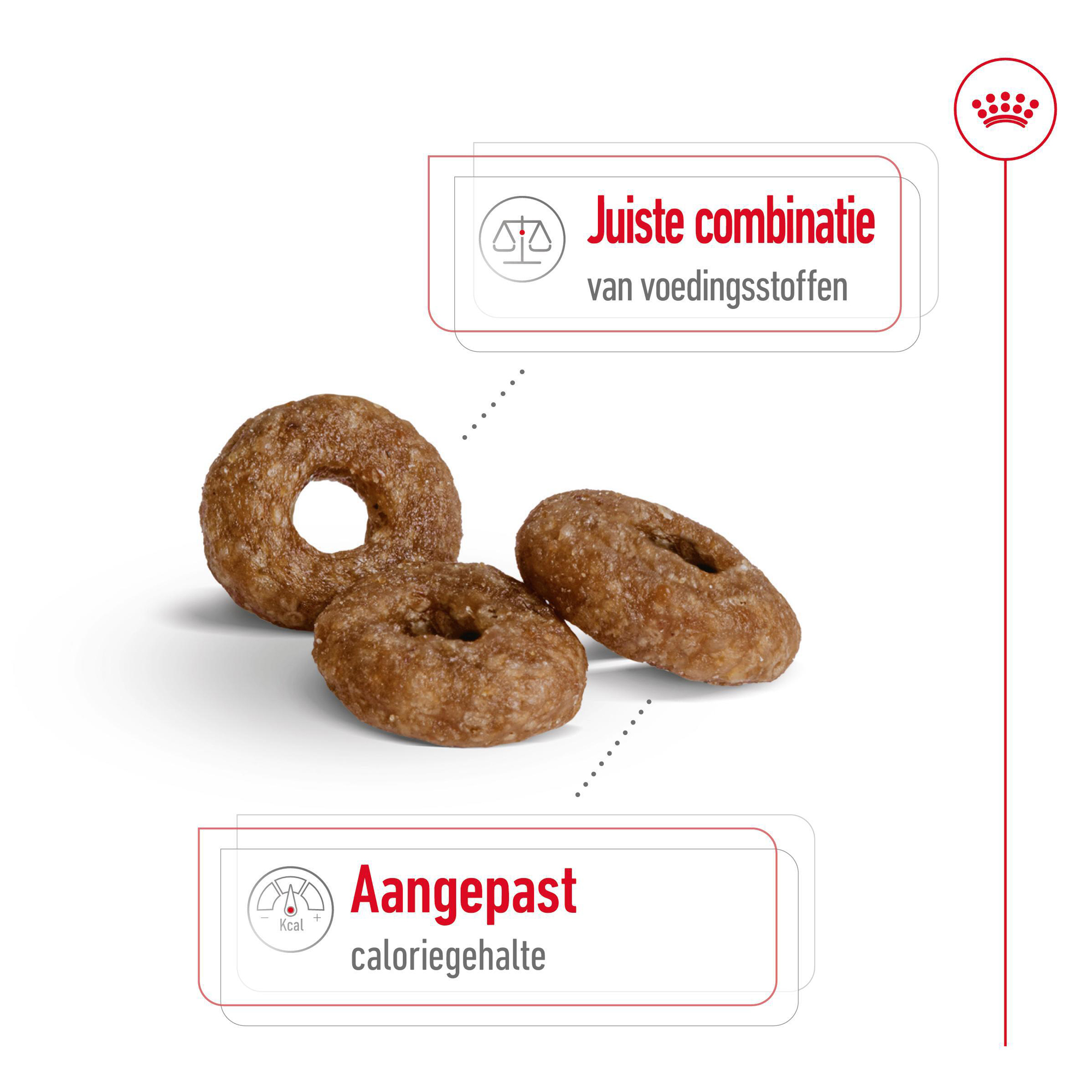 Royal Canin Mini Ageing 12+ - Hondenvoer