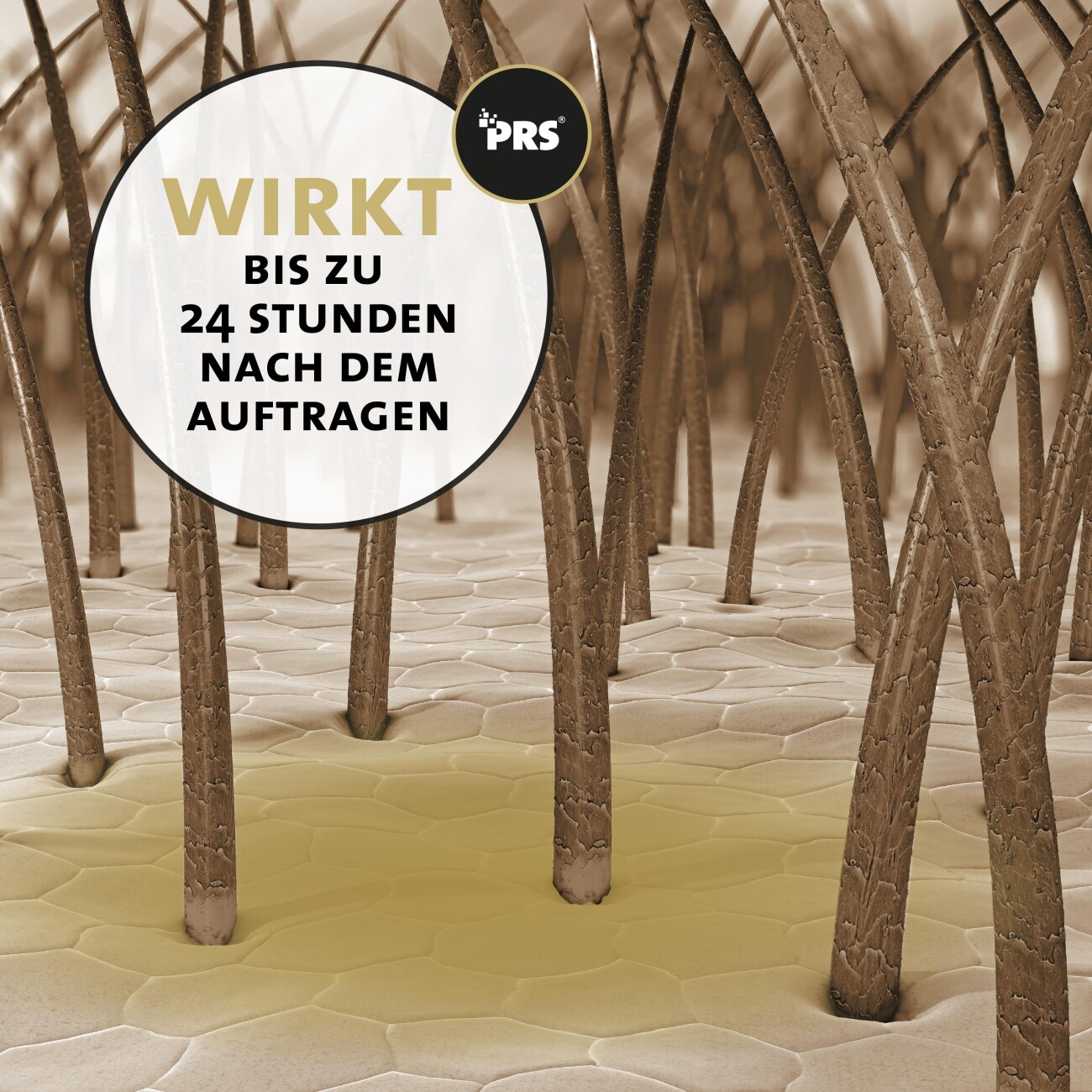 Peticare Anti-Kriebelmücken Gnitzen Roll-On für Pferde, Sommerekzem vorbeugen