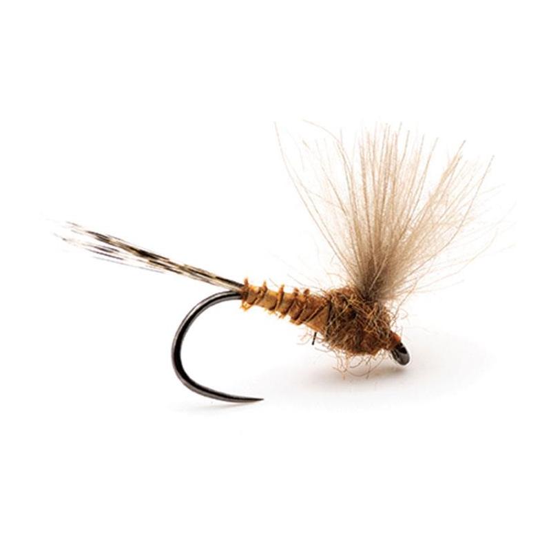 Mouche Devaux Emergente Jbe10