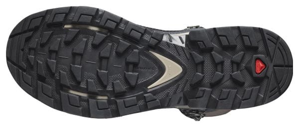 Chaussures de Randonnée Salomon Quest Element GTX Bleu Gris Femme