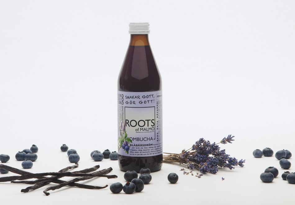 Kombucha Blåbærdrøm