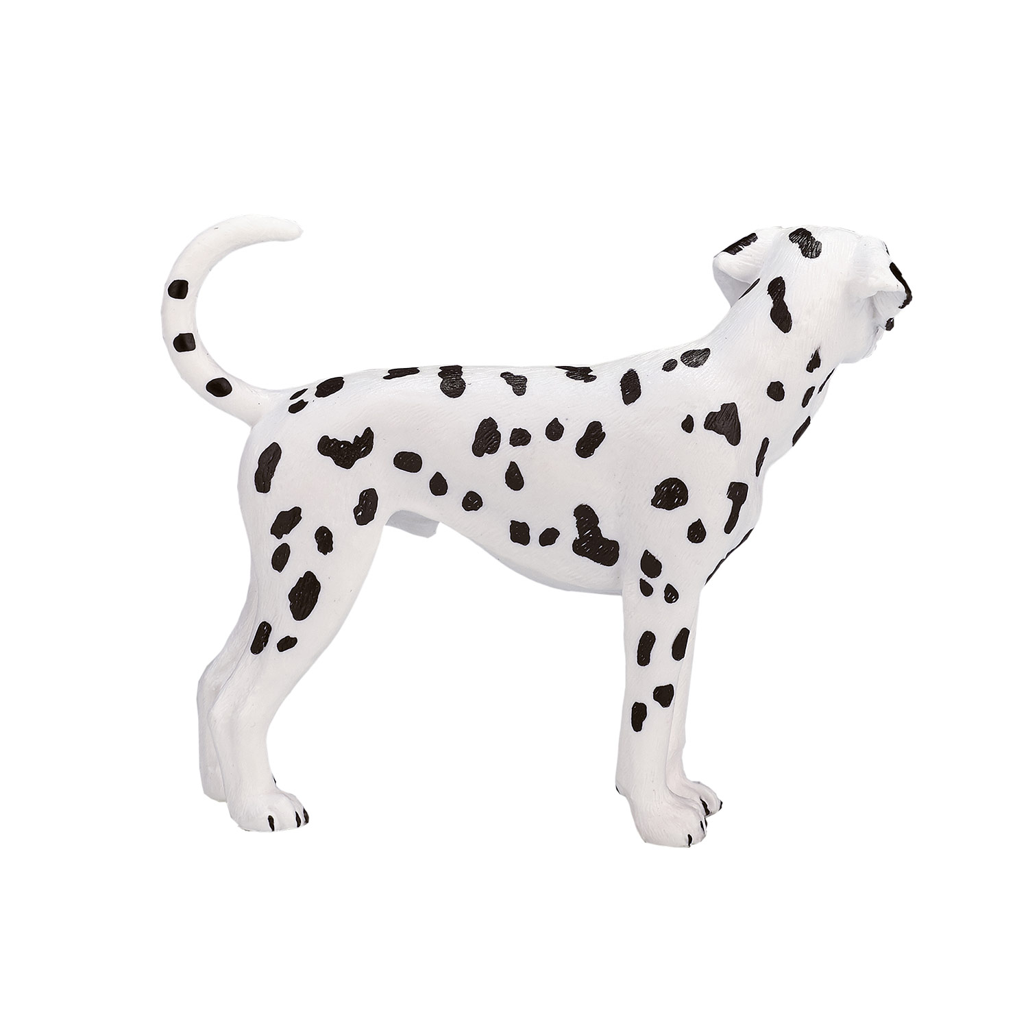 Mojo Farmland Dalmatiër - 387248