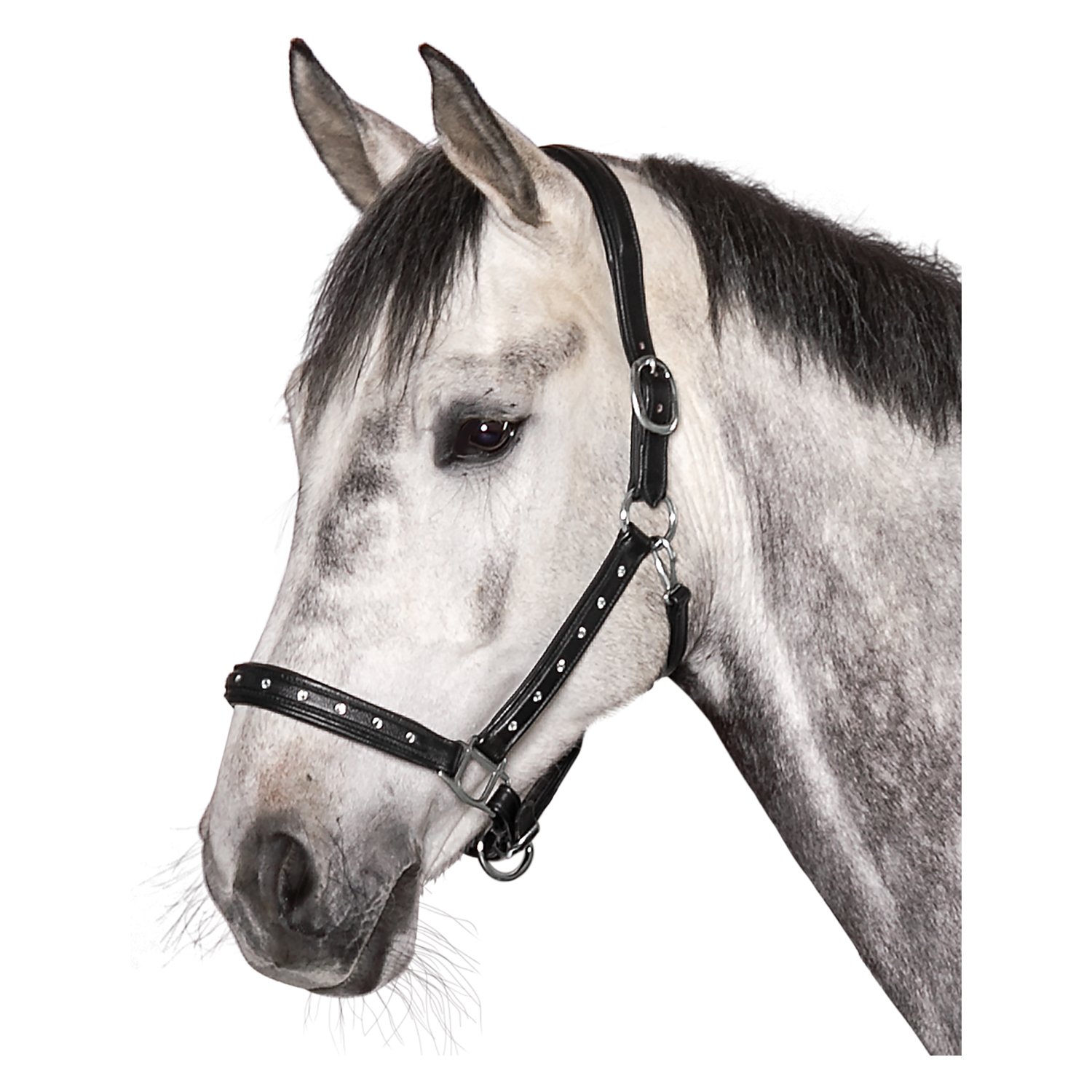 Cheval de Luxe Lederhalfter Adelaide  - schwarz