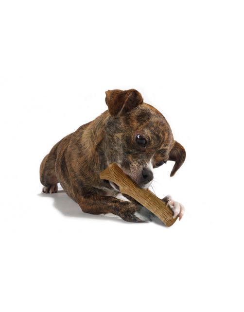 Petstages Dogwood Stick Bruin - Hondenspeelgoed