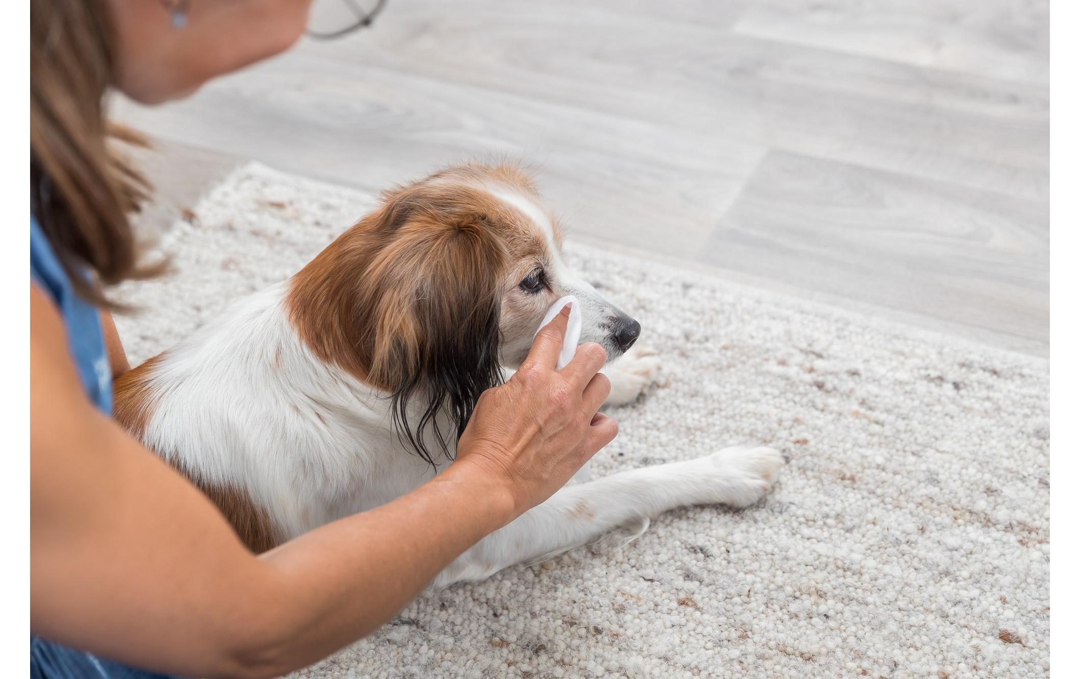 Augenreiniger Tücher, 30 StückAugenpflege für Hunde, Katzen und andere Kleintiere
