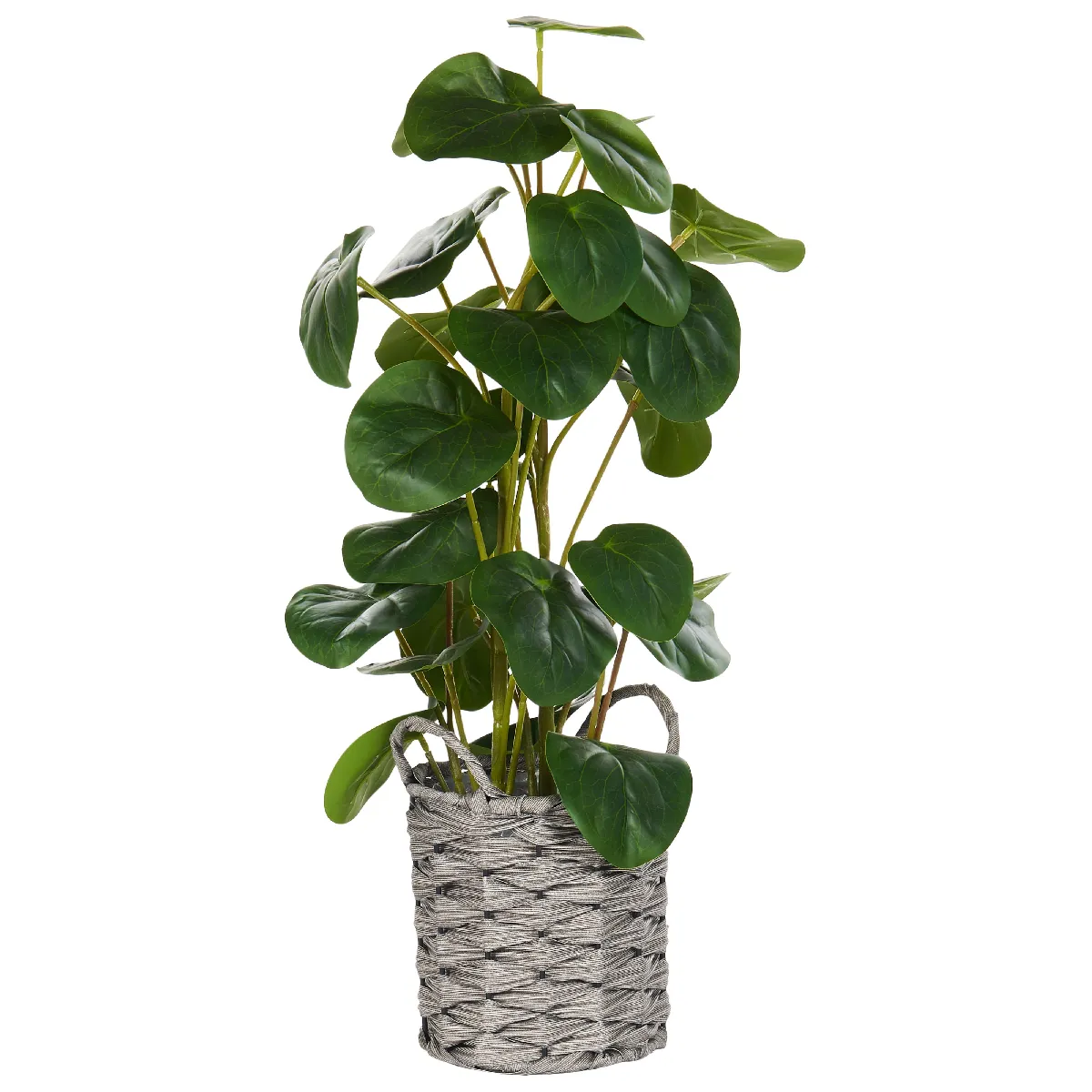 Beliani Plante Artificielle KIBETI 55 cm