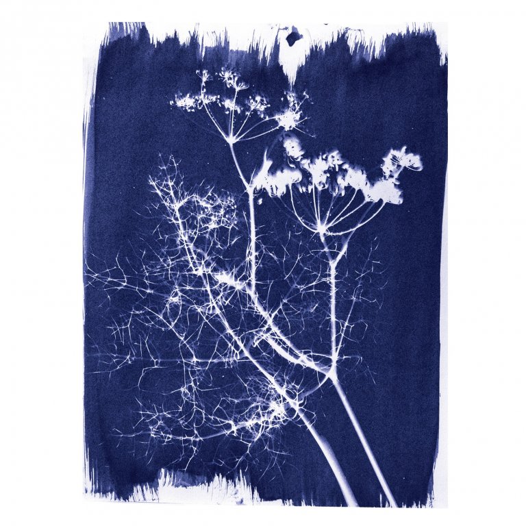 Jacquard Cyanotype, Blaudruck Set