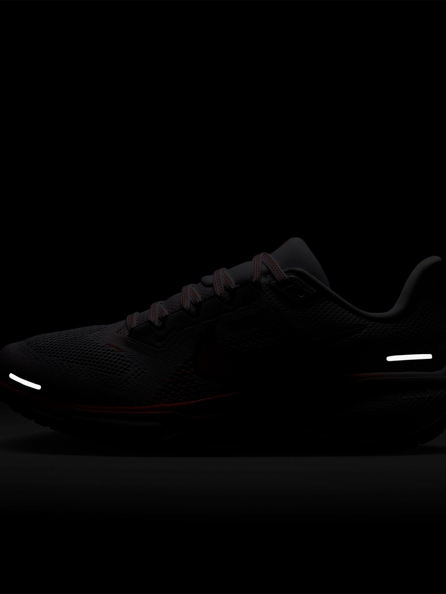 Pegasus 41