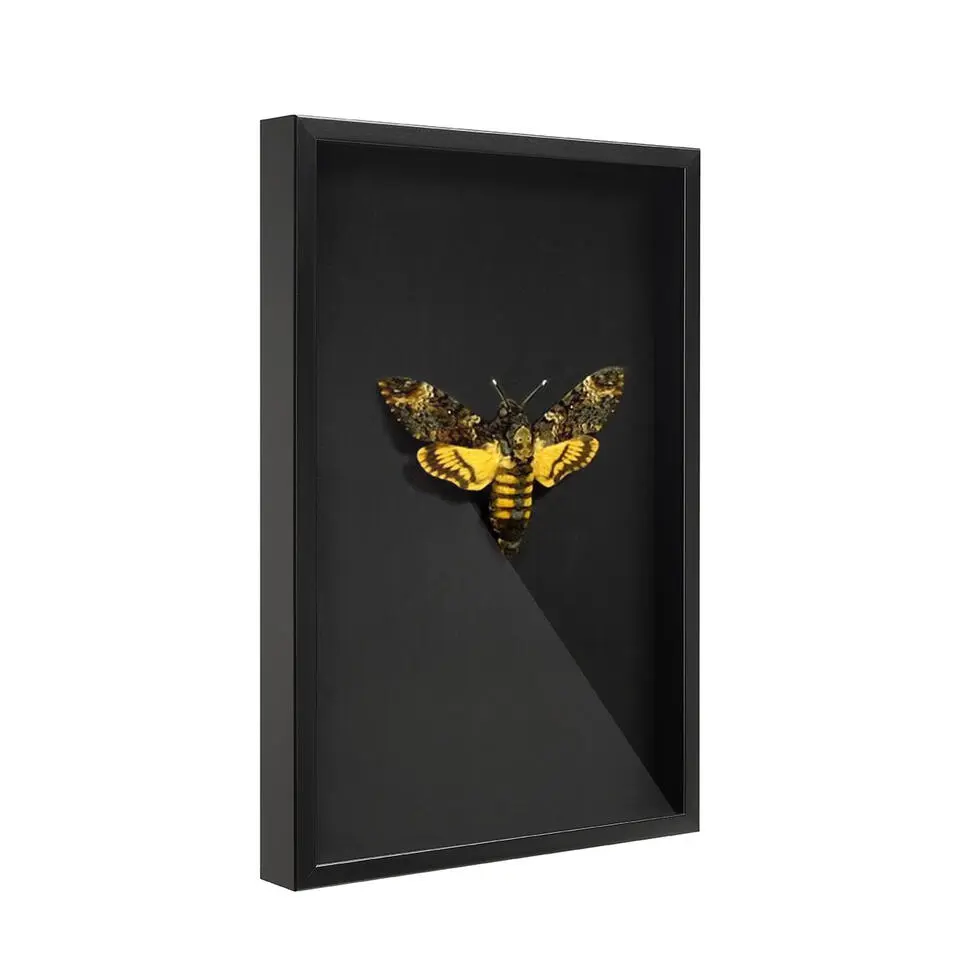 Fotokader in 3D - Box Frame - Fotolijst - 6 cm diep - MDF - 40x60cm - Zwart