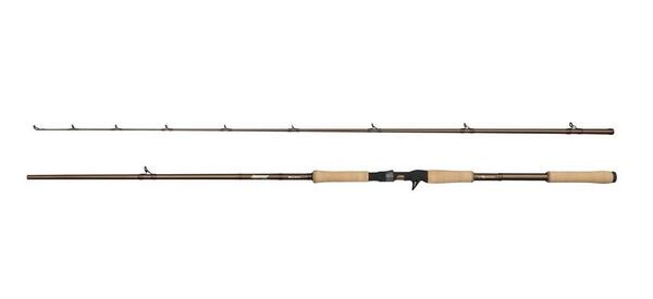 Canne Casting Abu Garcia Beast Pro