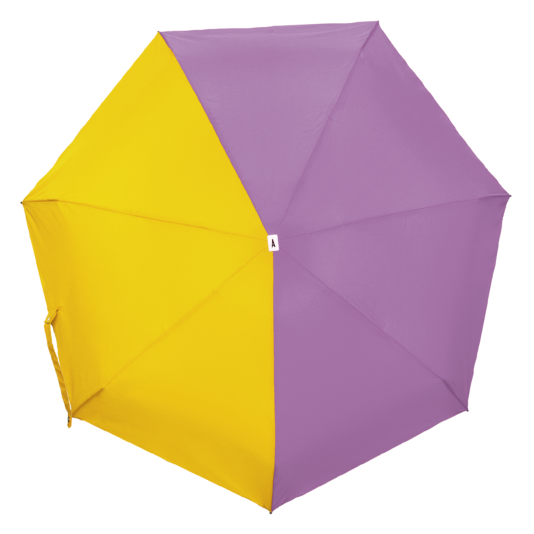 Parapluie | Multicolore