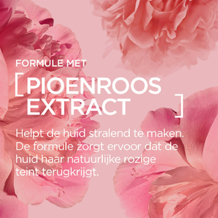 L'Oréal Paris Age Perfect Golden Age Versterkende Dagcrème SPF20 50ML