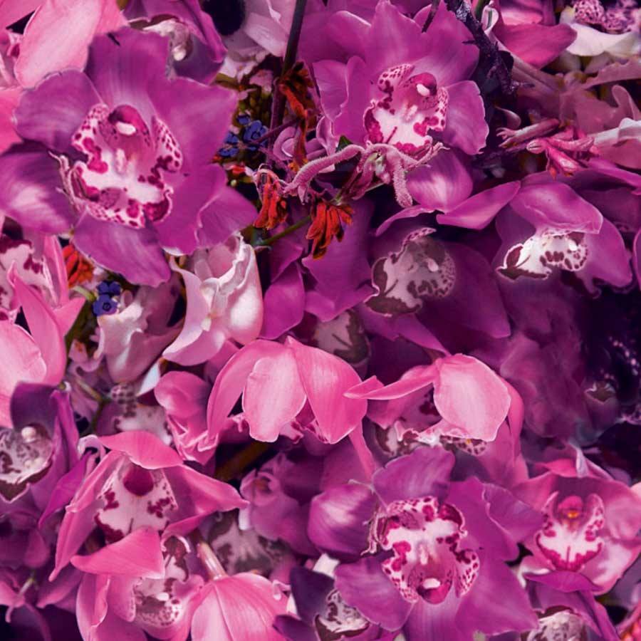 Shiseido Ginza Murasaki Eau De Parfum 50ml