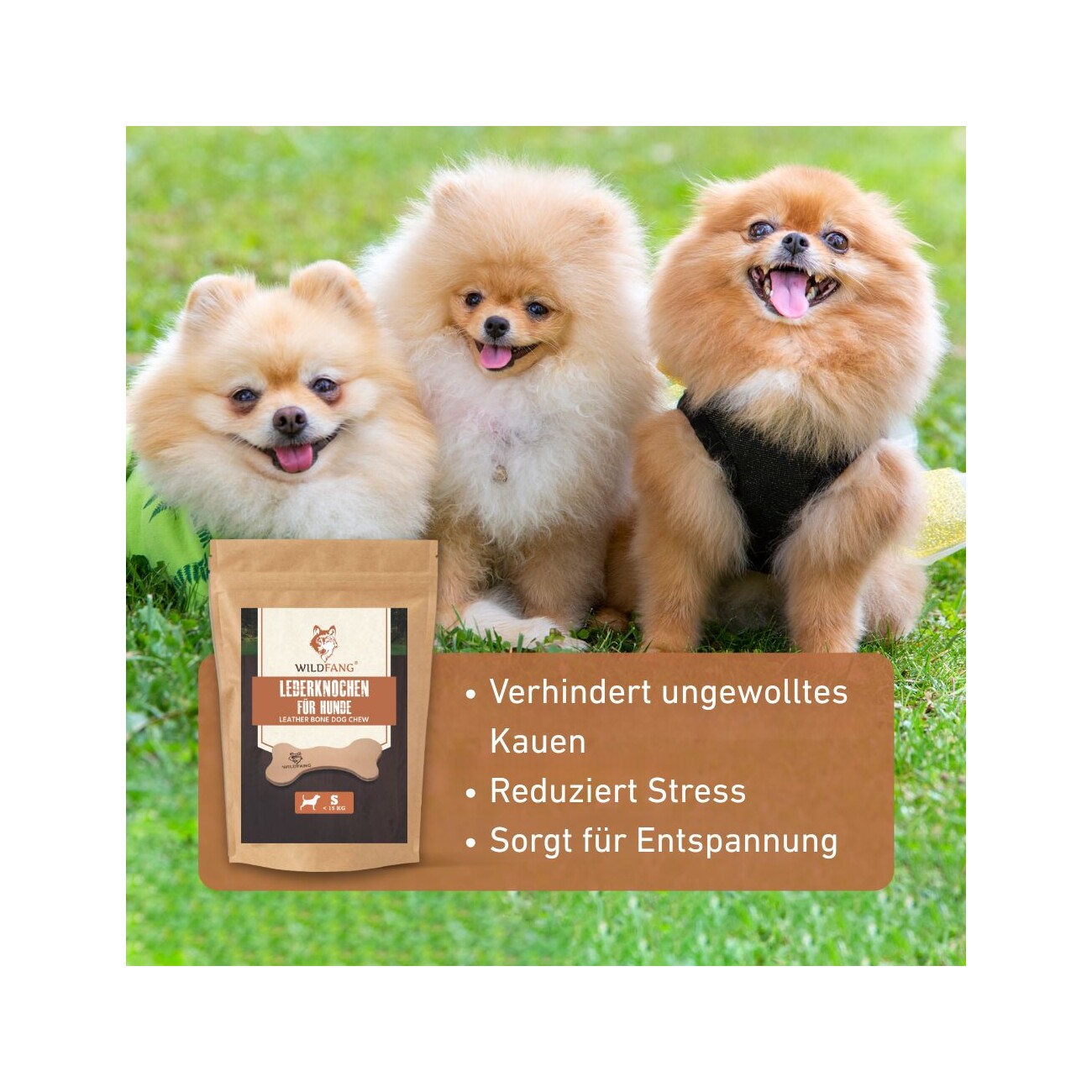 Wildfang ® Lederknochen - Kauleder 1 S
