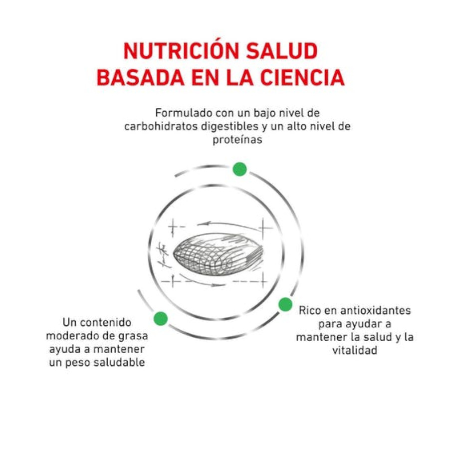 Ração Royal Canin Veterinária para Gatos Diabéticos