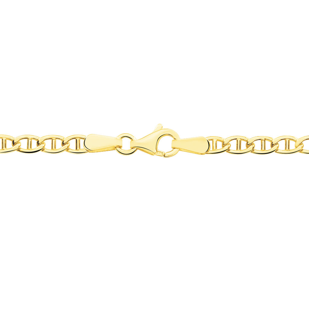 Chaîne Rhalidaae Maille Marine Plate Or Jaune