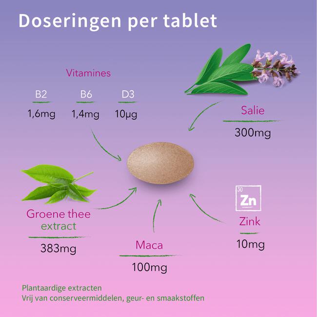 Valdispert Overgang Compleet 10in1 60 stuks