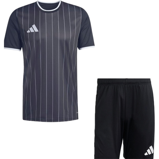 adidas Entrada 26 GFX Trainingsset