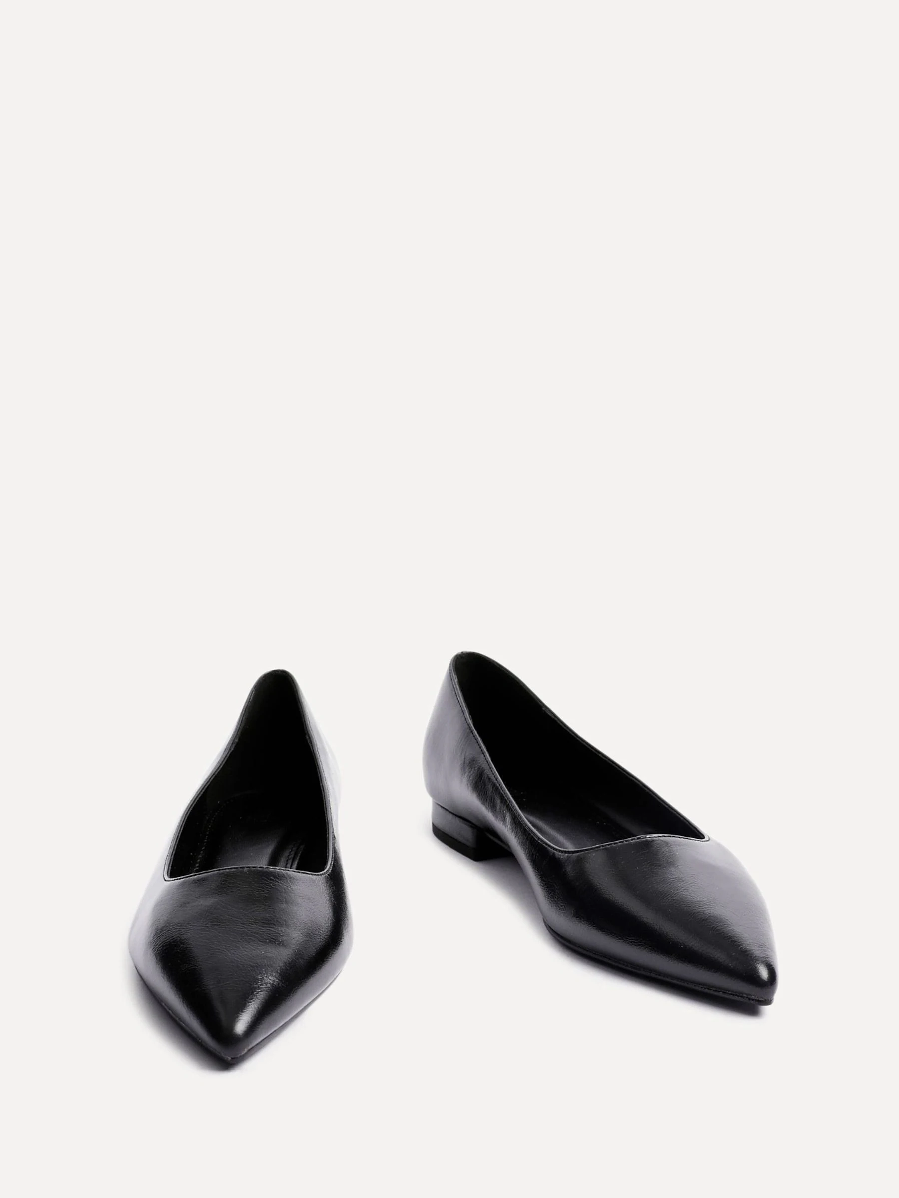 Zwart - Linzi Orian Pointed Toe Ballet Flats